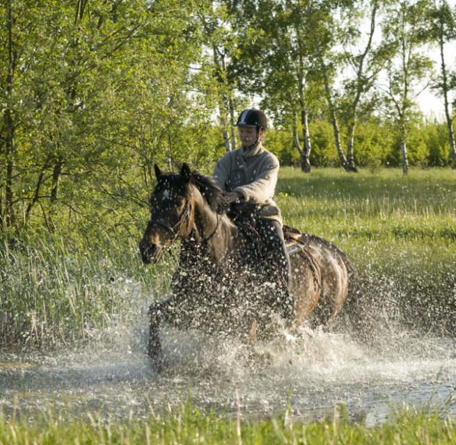 Auf ihrem Tagesritt durchreitet die Reiterin einen Teich entlang des Weges, © TMV/ Hafemann