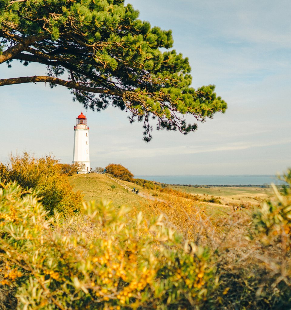 Ein Postartenmotiv schlechthin: Der Leuchtturm Dornbusch ist das Wahrzeichen der Insel Hiddensee., © TMV/Petermann