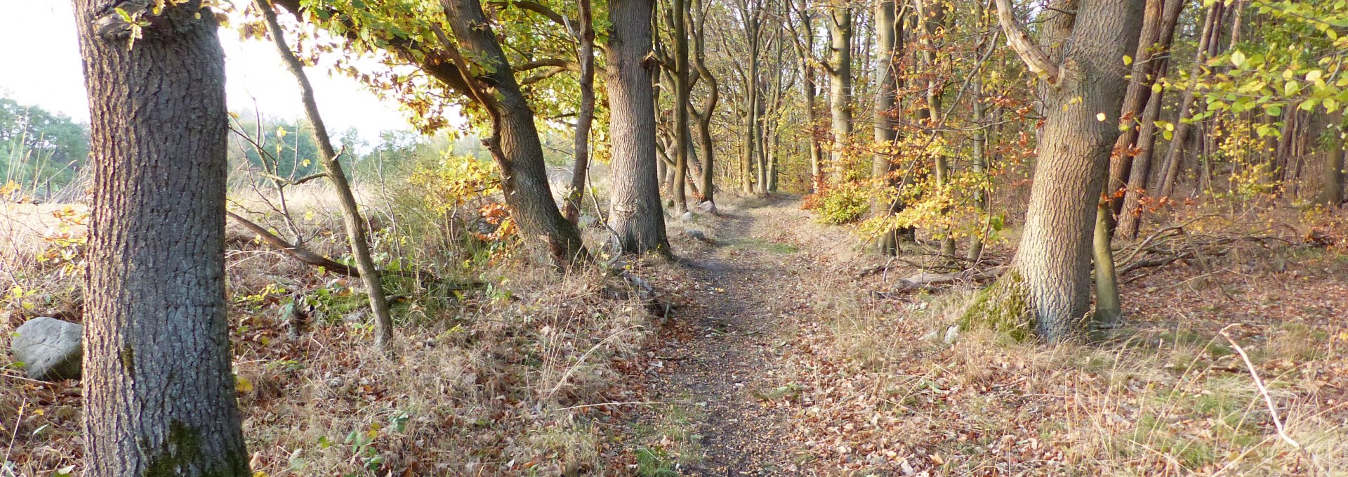 Wanderweg bei Kritzow, © Naturpark Sternberger Seenland