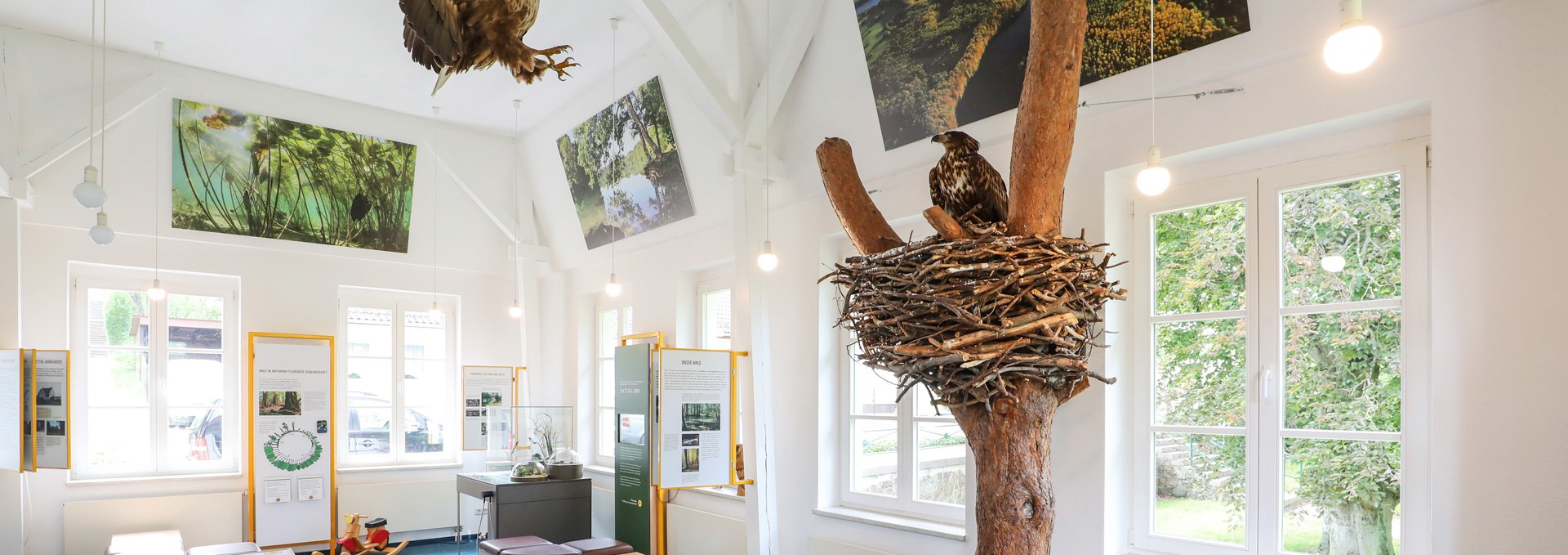 Naturparkausstellung zum Naturpark Feldberger Seenlandschaft im Haus des Gastes_2, © TMV/Gohlke