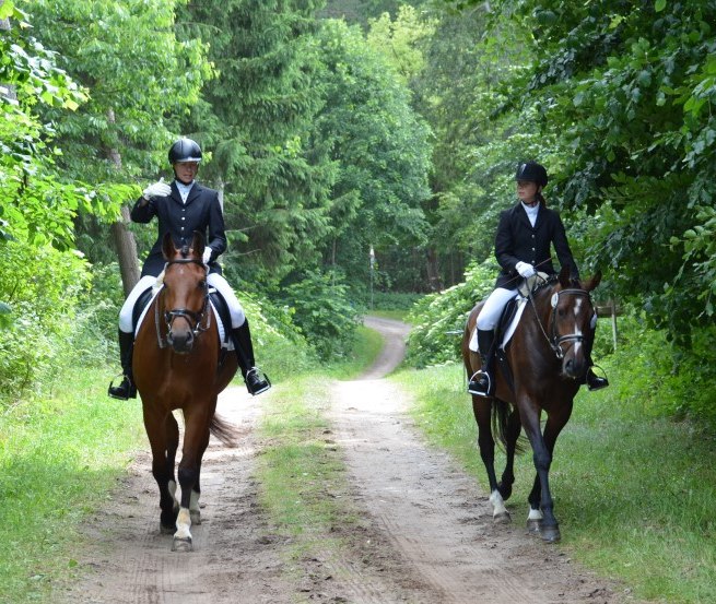 Ausreiten mit dem Reiterhof Groß-Stubben heißt vorallem Natur genießen, © Reit- und Fahrverein Poseritz e.V./ Thomas Krimmling