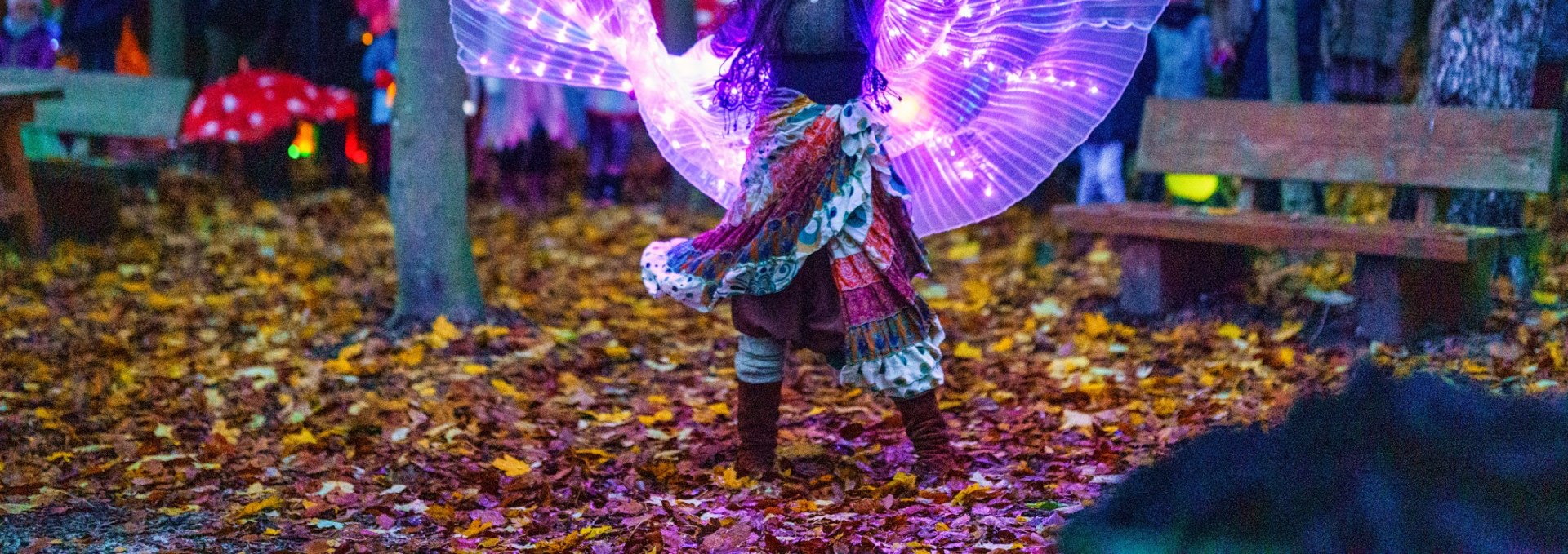 Fee beim Lichterfest im BÄRENWALD Müritz, © BÄRENWALD Müritz