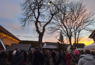 Tolles Ambiente im Innenhof des Haus des Gastes, © Tourismusbetrieb Mönkebude BgA