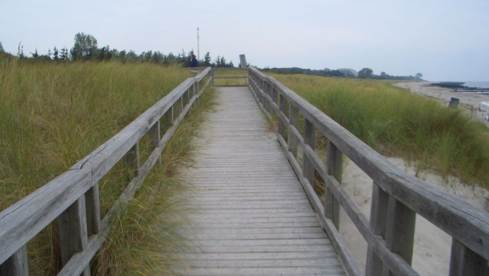 Strandzugang 4 über einen Holzsteg in Ahrenshoop, © TV FDZ