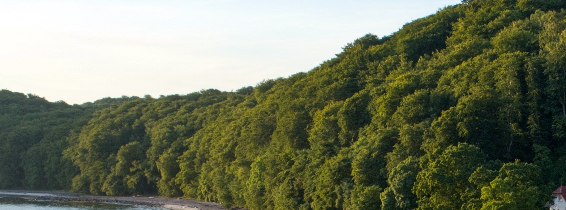 Für Kinder: Mit dem Ranger Wald und Strand entdecken, © Binzer Bucht Tourismus