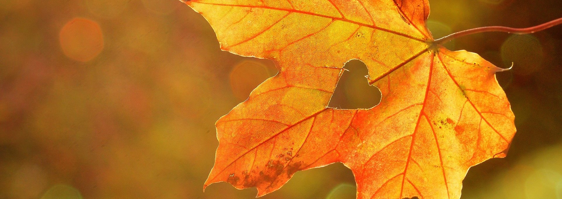 Herbstzeit, © pixabay