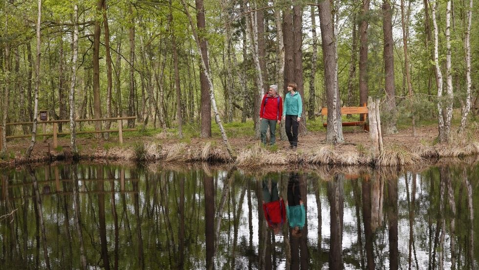 Wanderer am Moorsee im Großen Ribnitzer Moor, © TMV/outdoor-visions.com