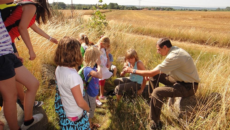 Wanderung mit dem Naturparkranger, © Kinder- und Jugendhotel Verchen