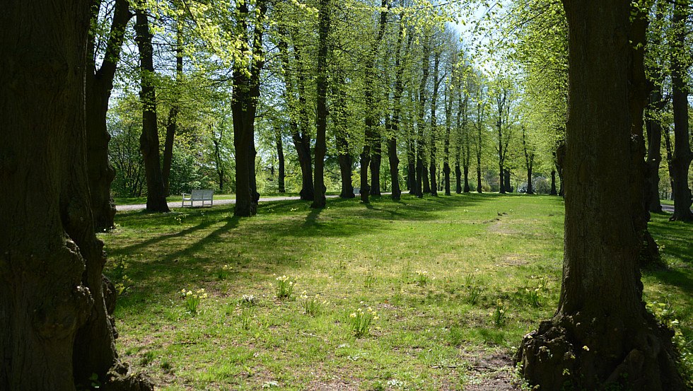 Hippodrom im Schlossgarten, © Tourismusverband Mecklenburg-Schwerin