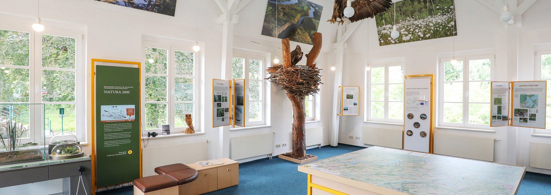 Naturparkausstellung zum Naturpark Feldberger Seenlandschaft im Haus des Gastes_1, © TMV/Gohlke