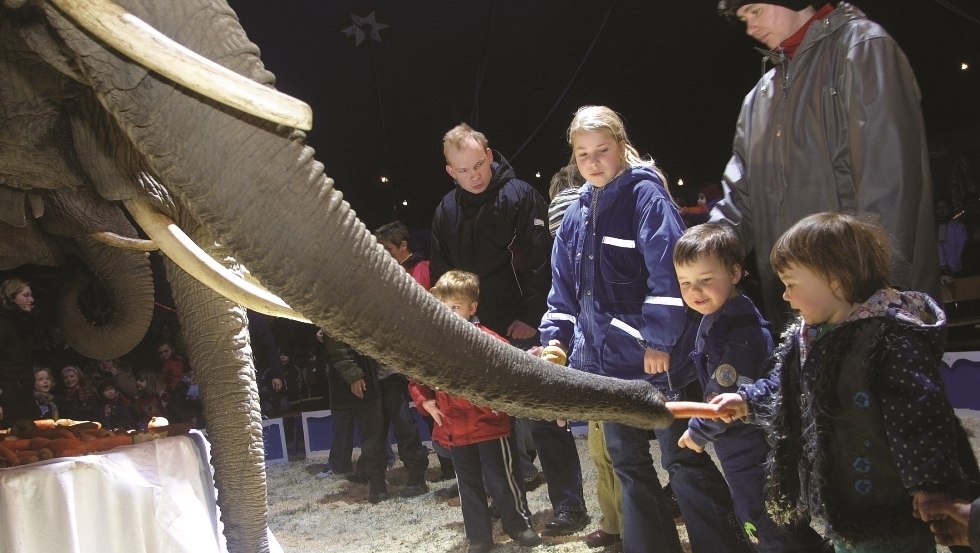 Kinder füttern unsere Riesen, © Elefantenhof Platschow