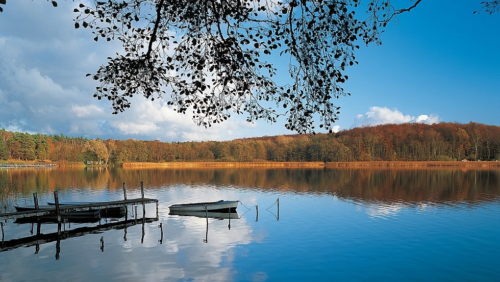 Malerisch spiegelt sich die Landschaft im Neuklostersee, © TMV/Grundner