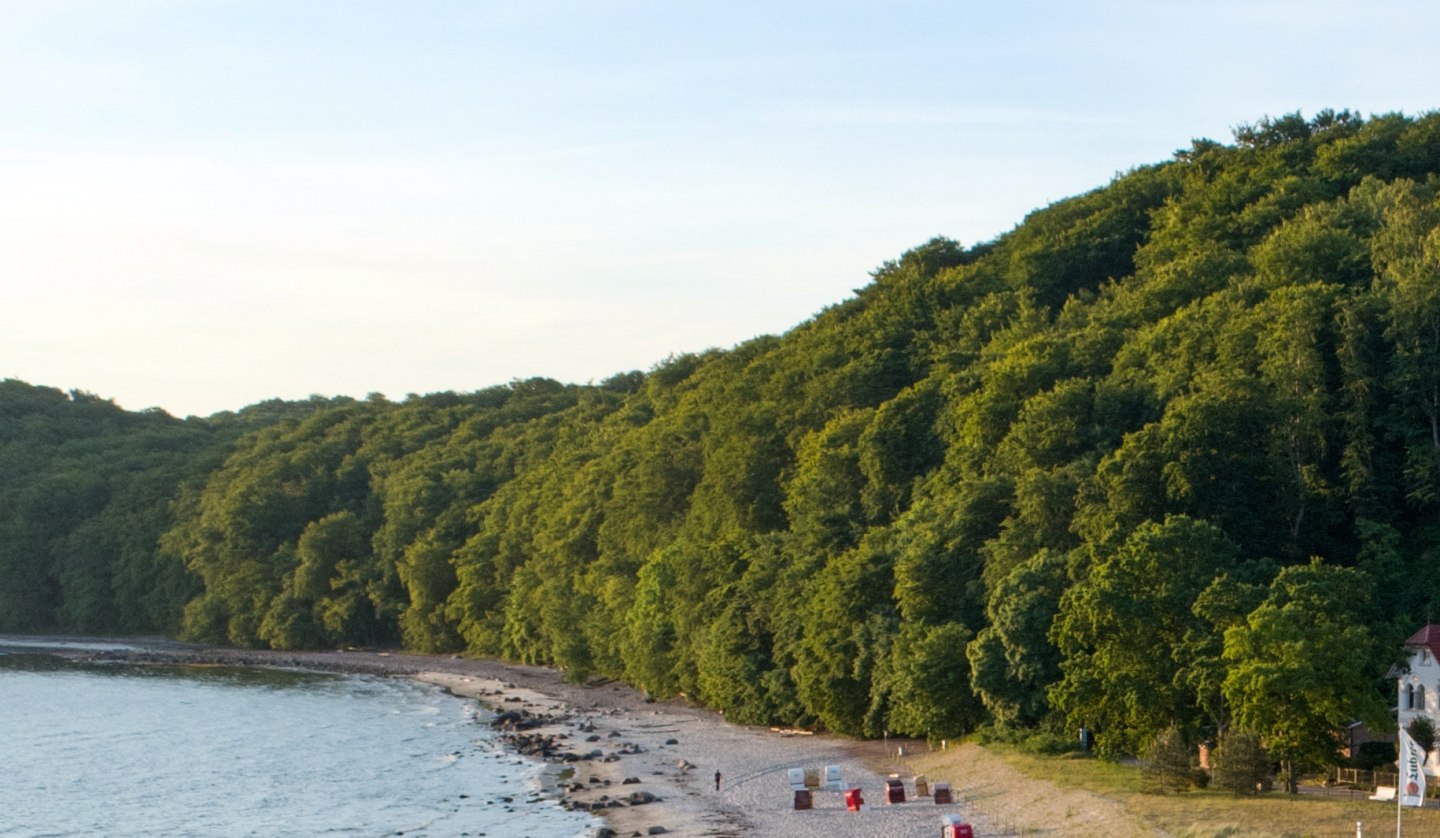 Für Kinder: Mit dem Ranger Wald und Strand entdecken, © Binzer Bucht Tourismus