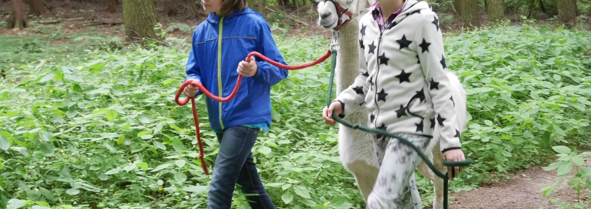 Kinder erleben mit den Alpakas die Natur., © Lena Marie Hahn