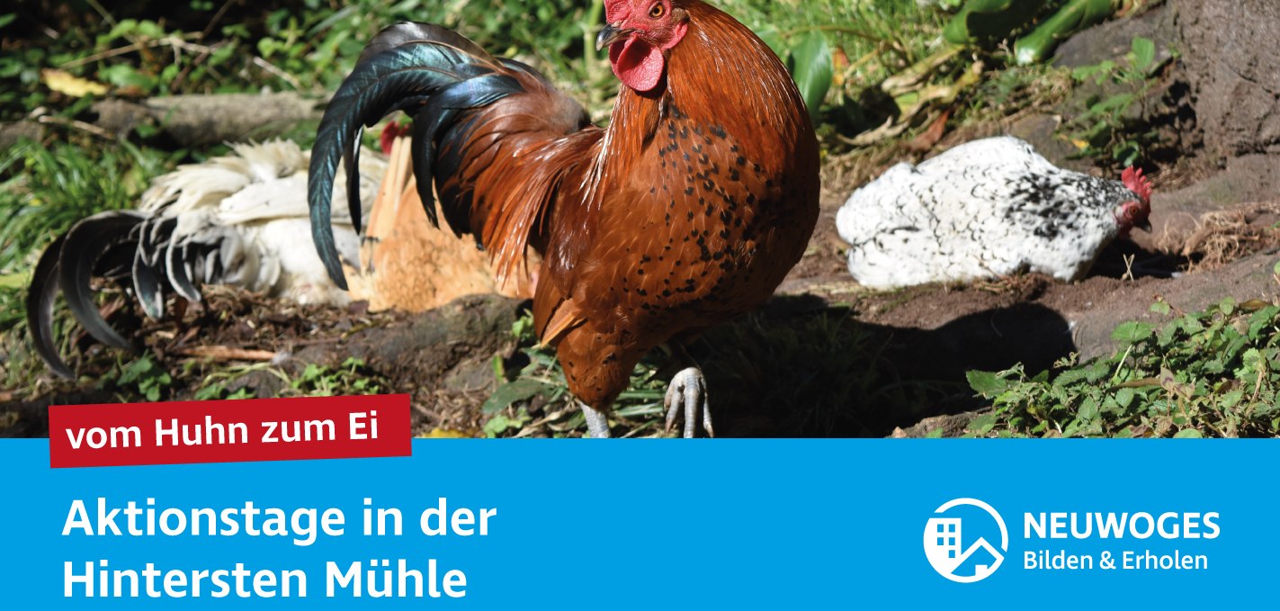 neuw-konzern_externe-komm_tierheim_aktionstage-24-vom-huhn-zum-ei, © Neuwoges