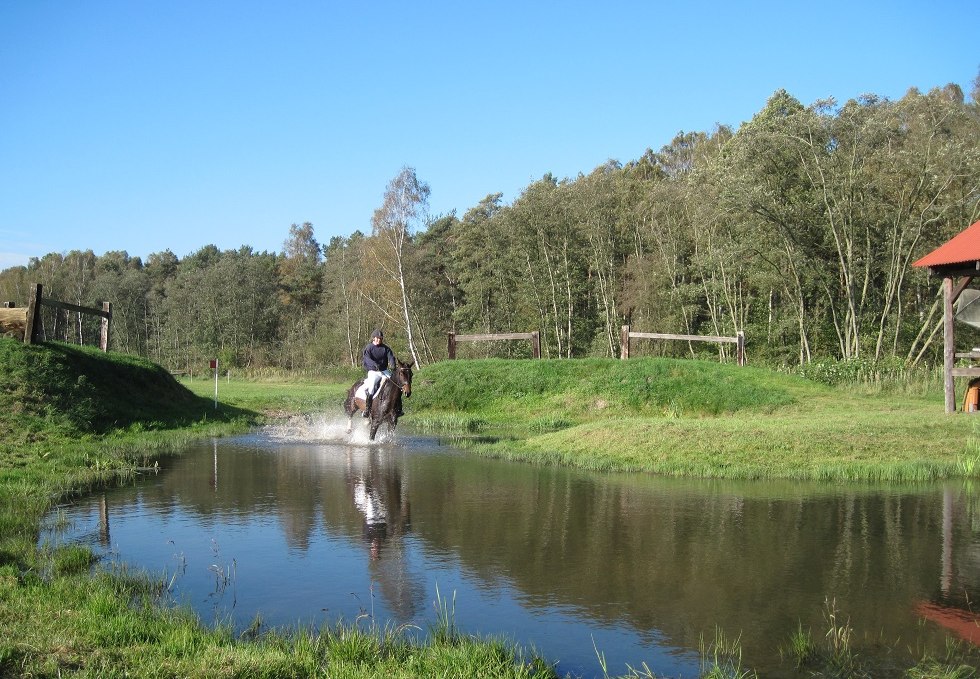 Consulant im Wasser, © Trakehnerhof Valluhn