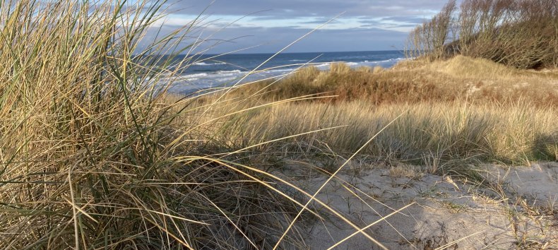 Weststrand Winter, © Katrin Bärwald