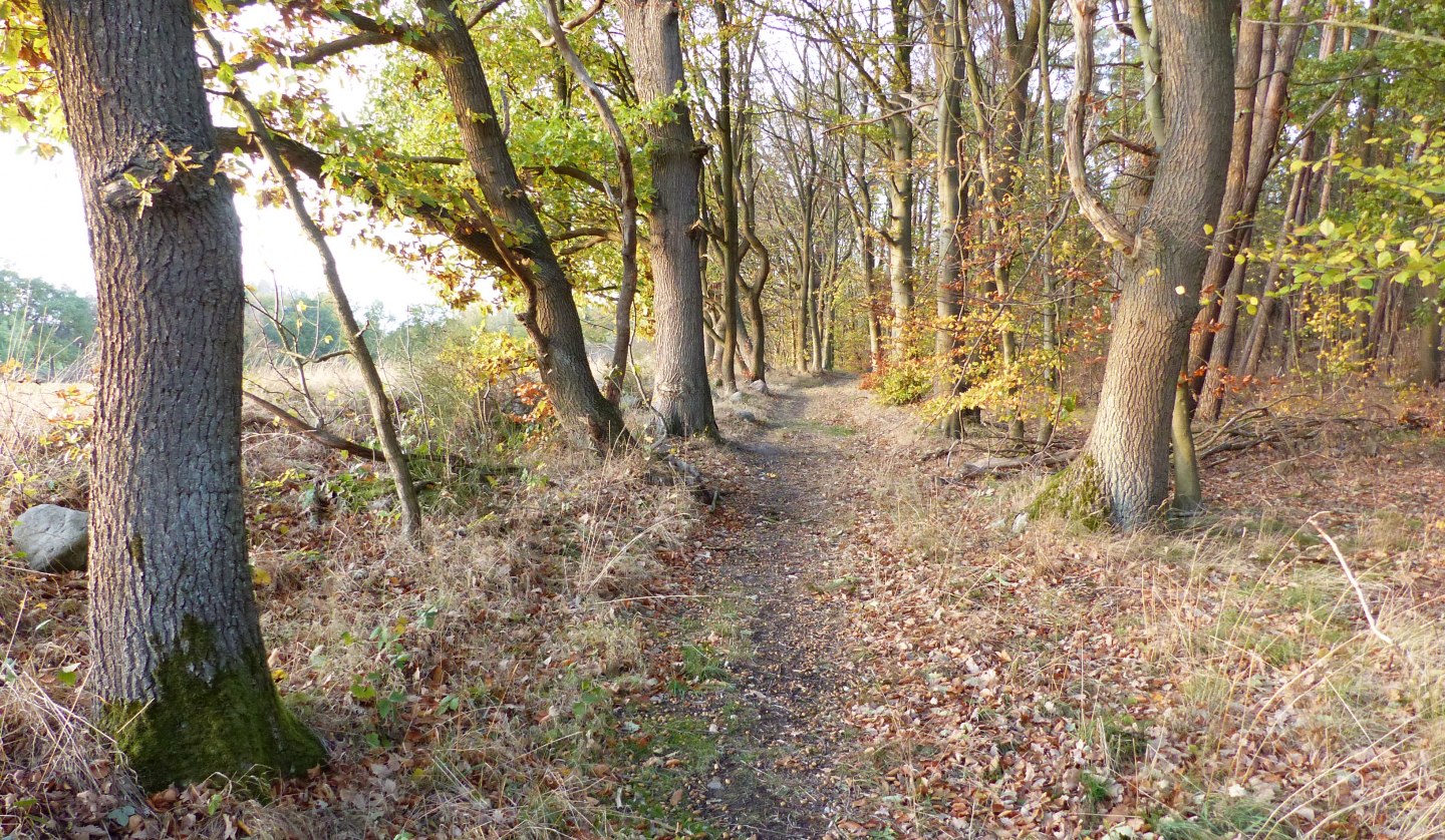 Wanderweg bei Kritzow, © Naturpark Sternberger Seenland