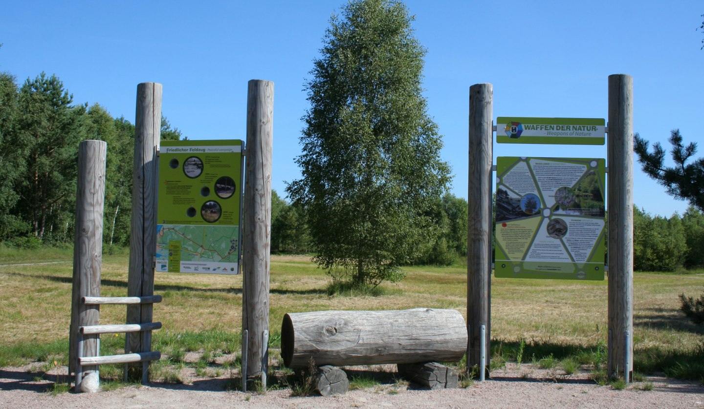 Entdeckerpfad Biologische Vielfalt in der Rostocker Heide, © Stadtforstamt Rostock/K. Kuhr