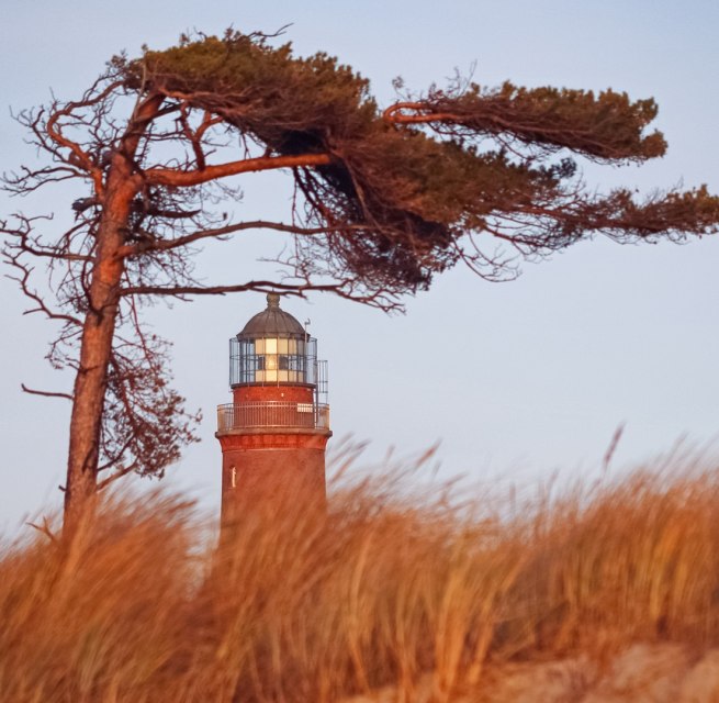 Den Darßer Weststrand schmückt ein Leuchtturm, der Teil des NATUREUMs ist., © Anke Neumeister/Deutsches Meeresmuseum