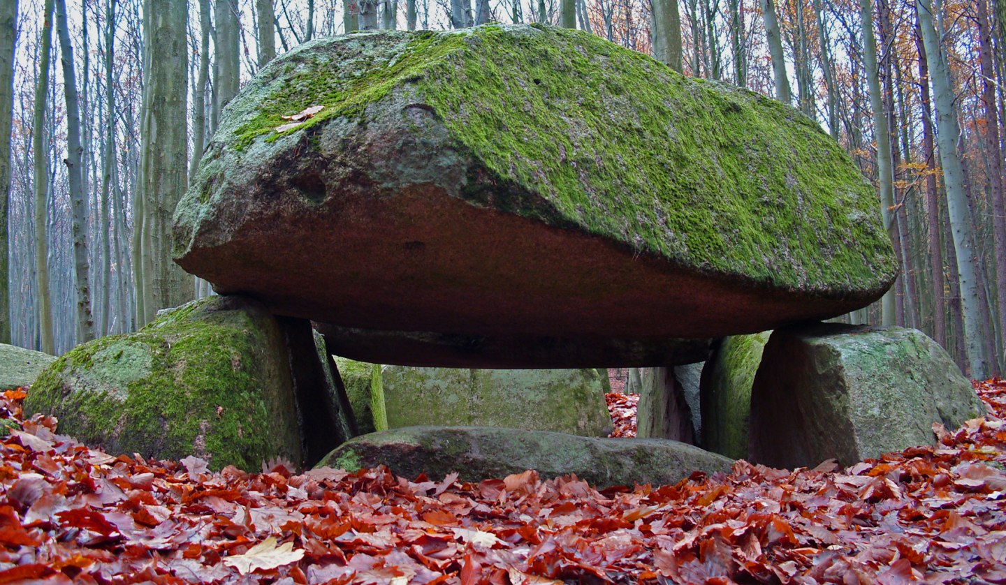 Das Großsteingrab an der Waldhalle Sassnitz, © Archäo Tour Rügen