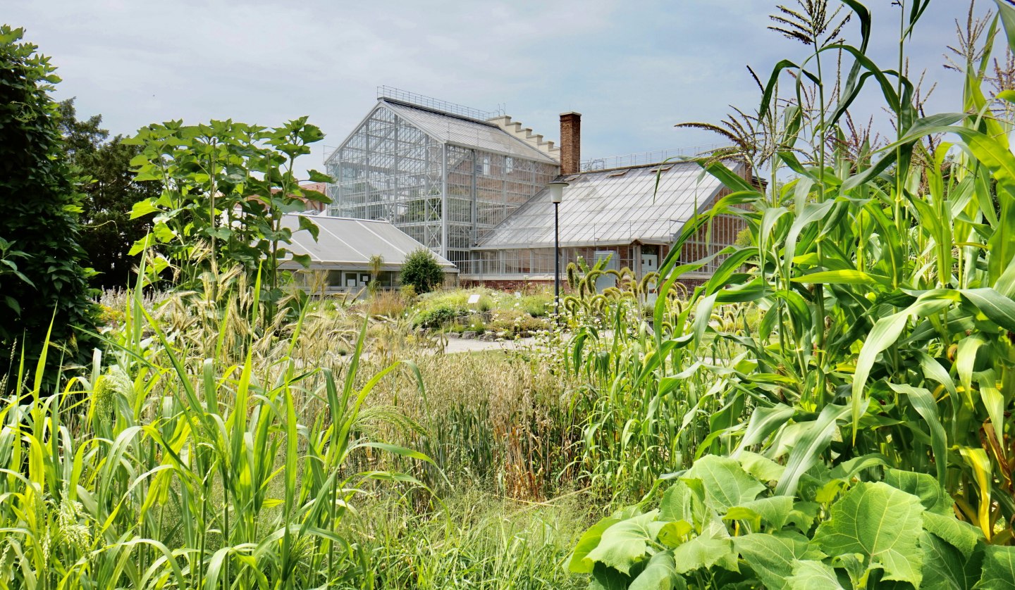 Botanischer Garten, © Gudrun Koch