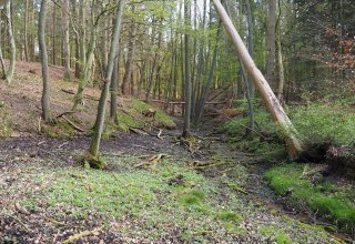 Erosionsrinne am Wanderweg, © Naturpark Sternberger Seenland; Volker Brandt