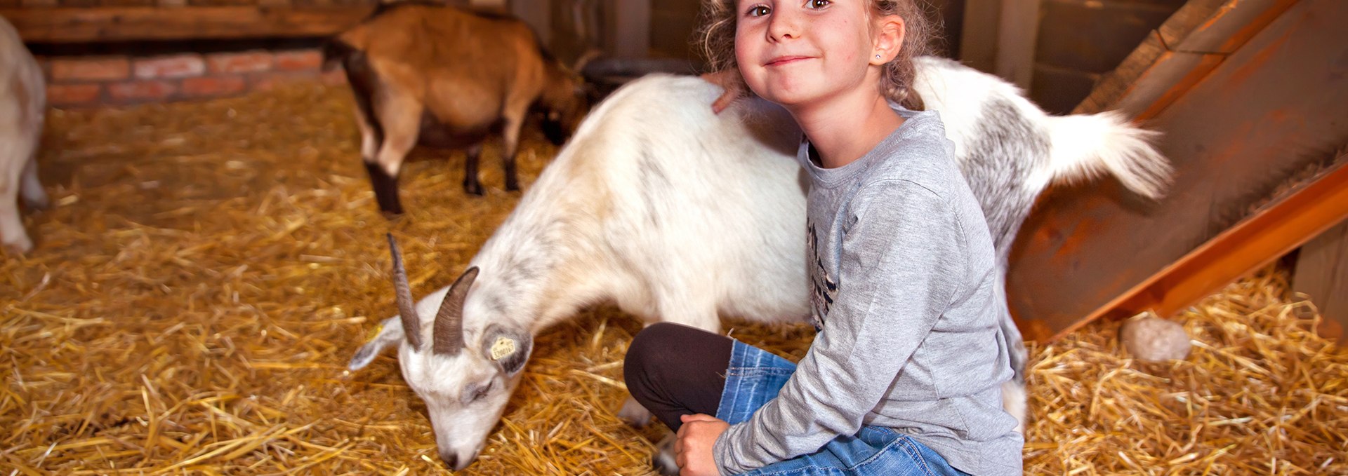 Kinderbauernhof, © Karls Erlebnis-Dorf