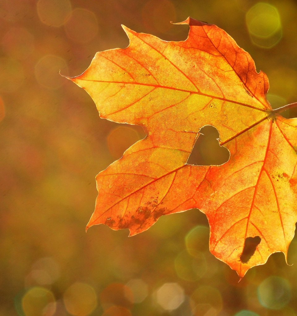 Herbstzeit, © pixabay
