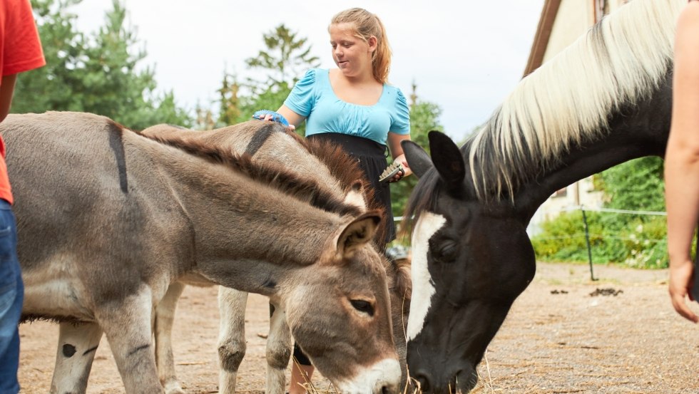 Versorgung und Pflege der Tiere auf dem Bauernhof, © Jan Ehlers