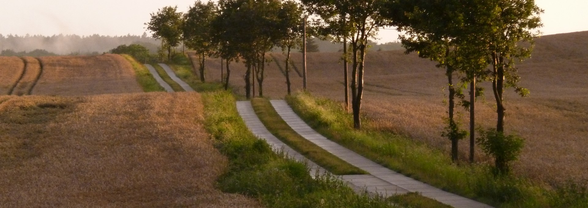 Mecklenburgische Schweiz: Weg in abendlicher Sonne, © Gutshaus Pohnstorf GbR