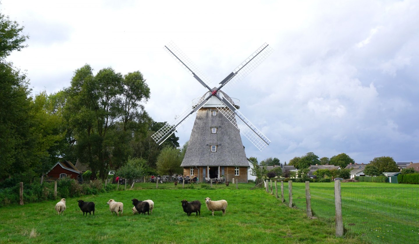 Kaffeemühle Ahrenshoop, © Kurverwaltung Ahrenshoop