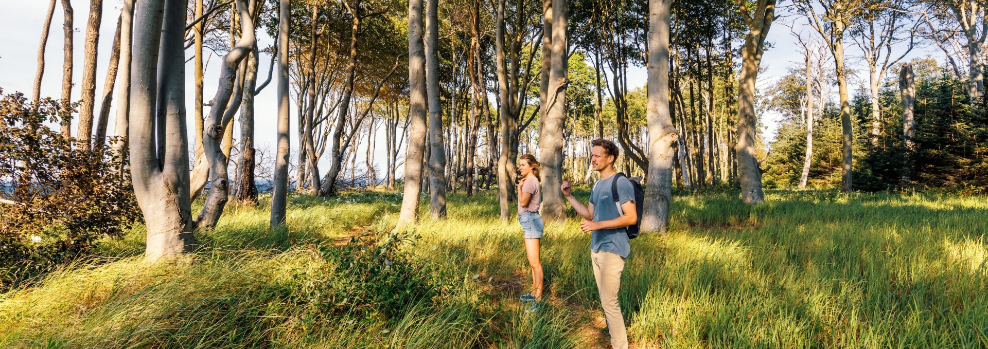 Ein Mann und eine Frau wandern auf einem schmalen Pfad durch die Rostocker Heide, umgeben von hohen, lichtdurchfluteten Buchen und grünem Gras.