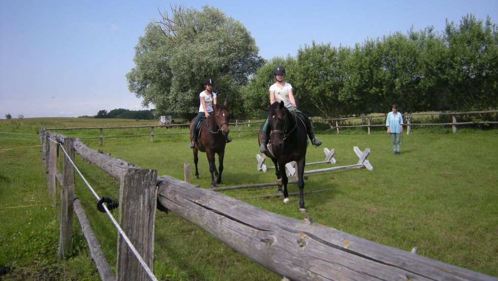 Hof Silberweide: Cavalettiarbeit auf dem Reitplatz, © Hof Silberweide/ Alfred Waschlewski