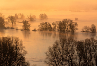 Elbaue bei Boizenburg, © Dirk Eisermann