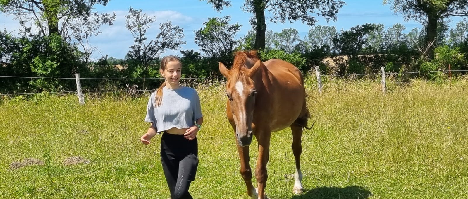 Mit Pferd im freien Spiel, © Ines Treuger