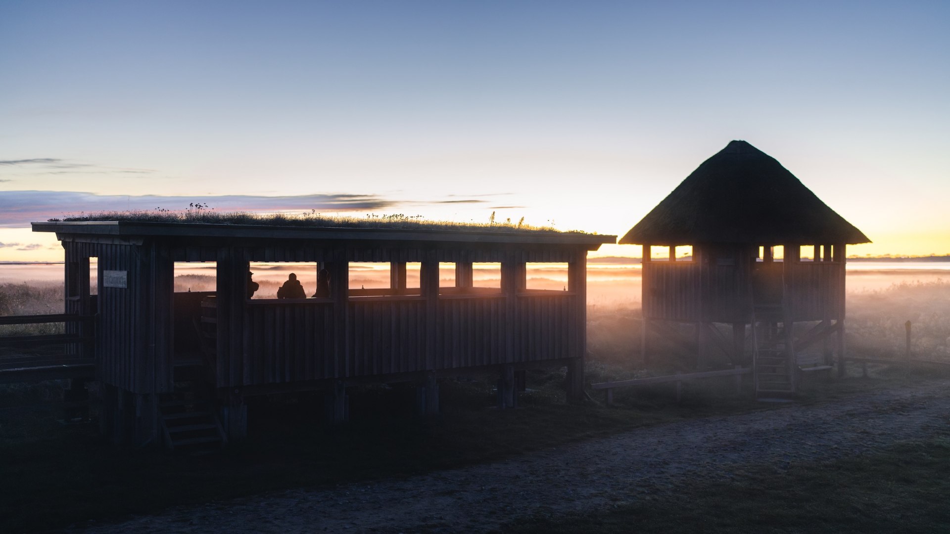 Aussichtsplattform Pramort bei Zingst im Nationalpark Vorpommersche Boddenlandschaft im Morgengrauen.