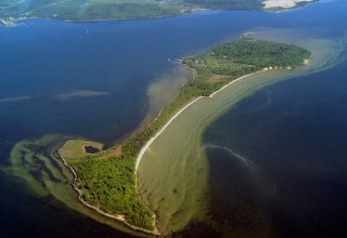 für die Insel Vilm typisch - knorrige Eiche, © Tourismuszentrale Rügen