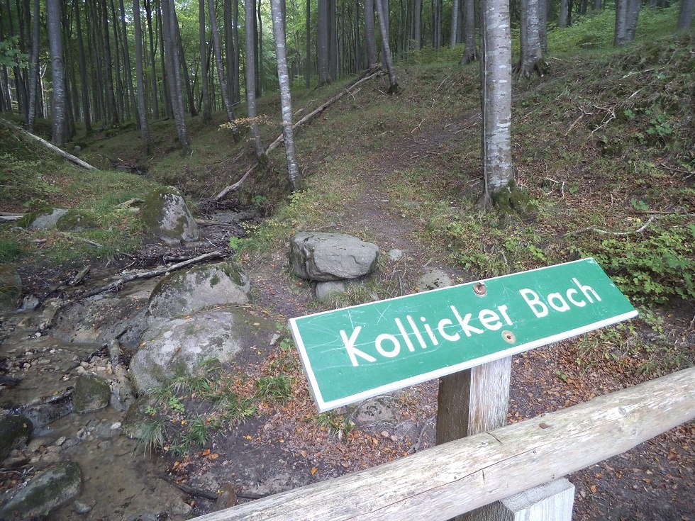 Kollicker Bach im Nationalpark Jasmund, © Tourismuszentrale Rügen