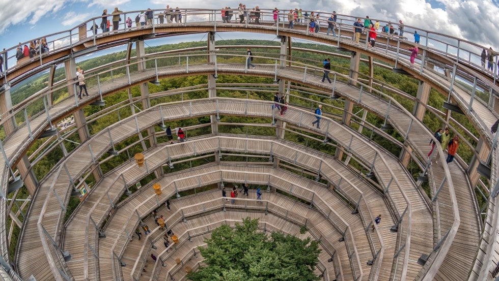 In der Mitte des Aussichtsturms steht eine 30 Meter hohe und ca. 85 Jahre alte Rotbuche., © Erlebnis Akademie AG / Naturerbe Zentrum Rügen