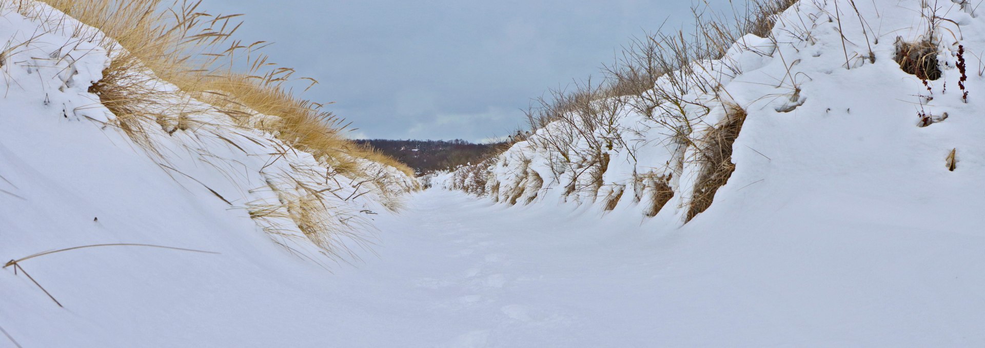 Insel Hiddensee erleben, © Weiße Flotte GmbH