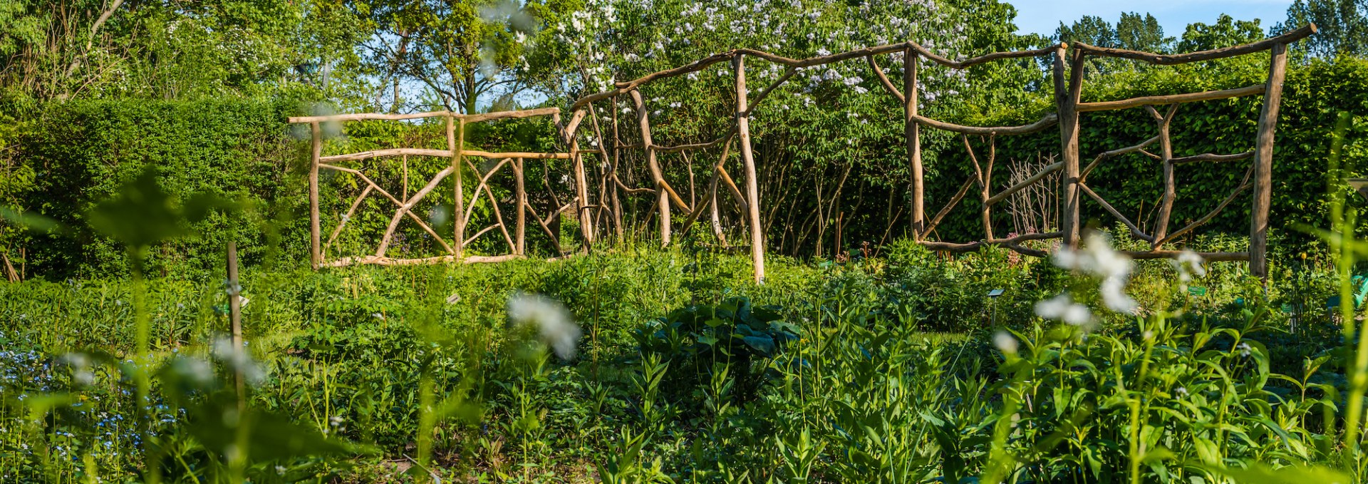 Wangeliner Garten - Einblicke, © TMV/Tiemann