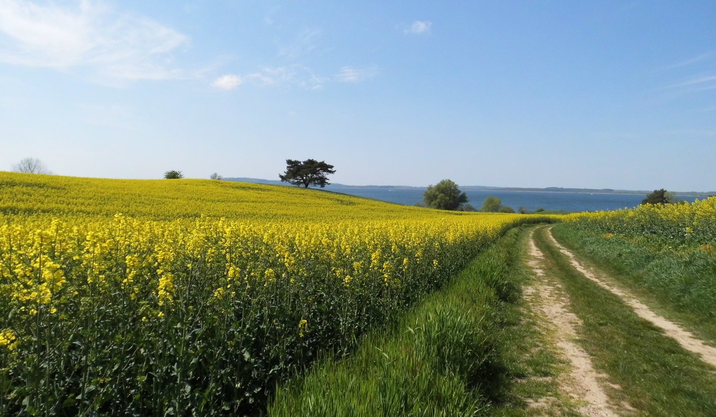 offene Landschaft, © Groh