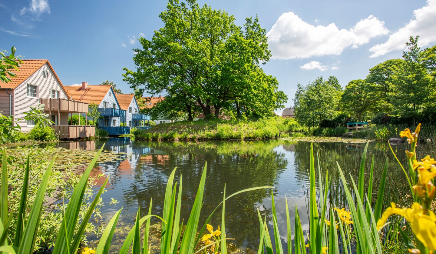 BEECH Resort Fleesensee - Wasserseite, © Feriendorf Fleesensee GmbH