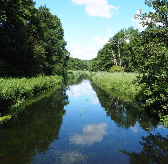 Warnow bei Kaarz, © Naturpark Sternberger Seenland; Volker Brandt