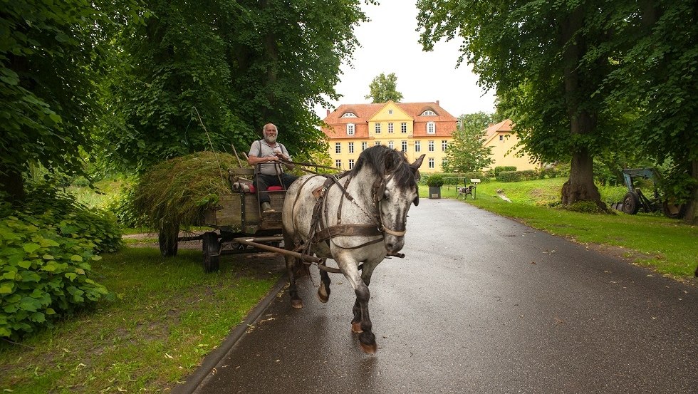 Pferdekutsche beladen mit Heu vor dem Gutshaus Luehburg., © TMV/Luehburg