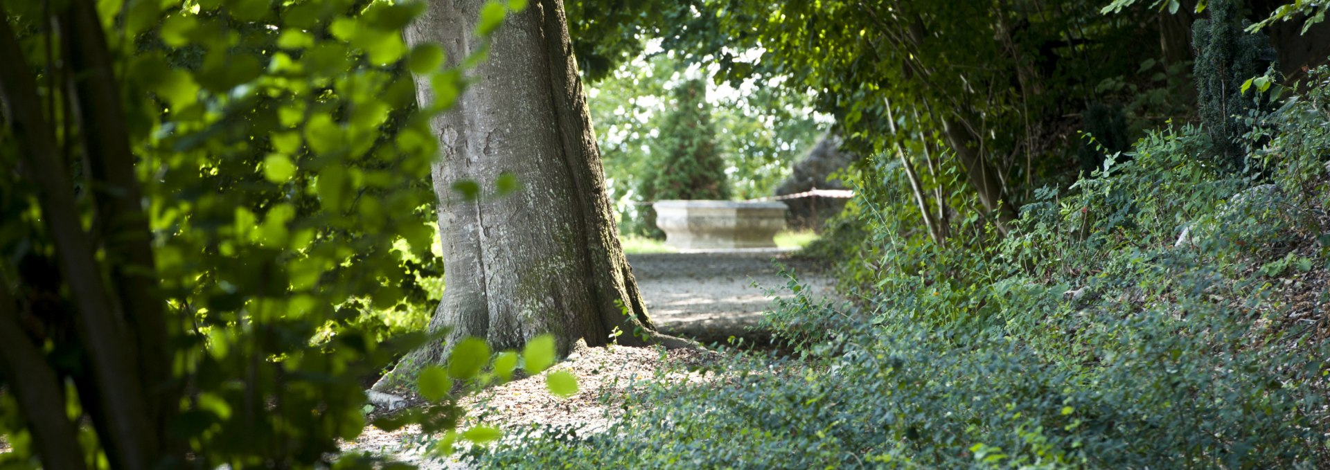 Park um Schloss Wiligrad an der Steilküste des Schweriner Sees, © SSGK MV / Jörn Lehmann