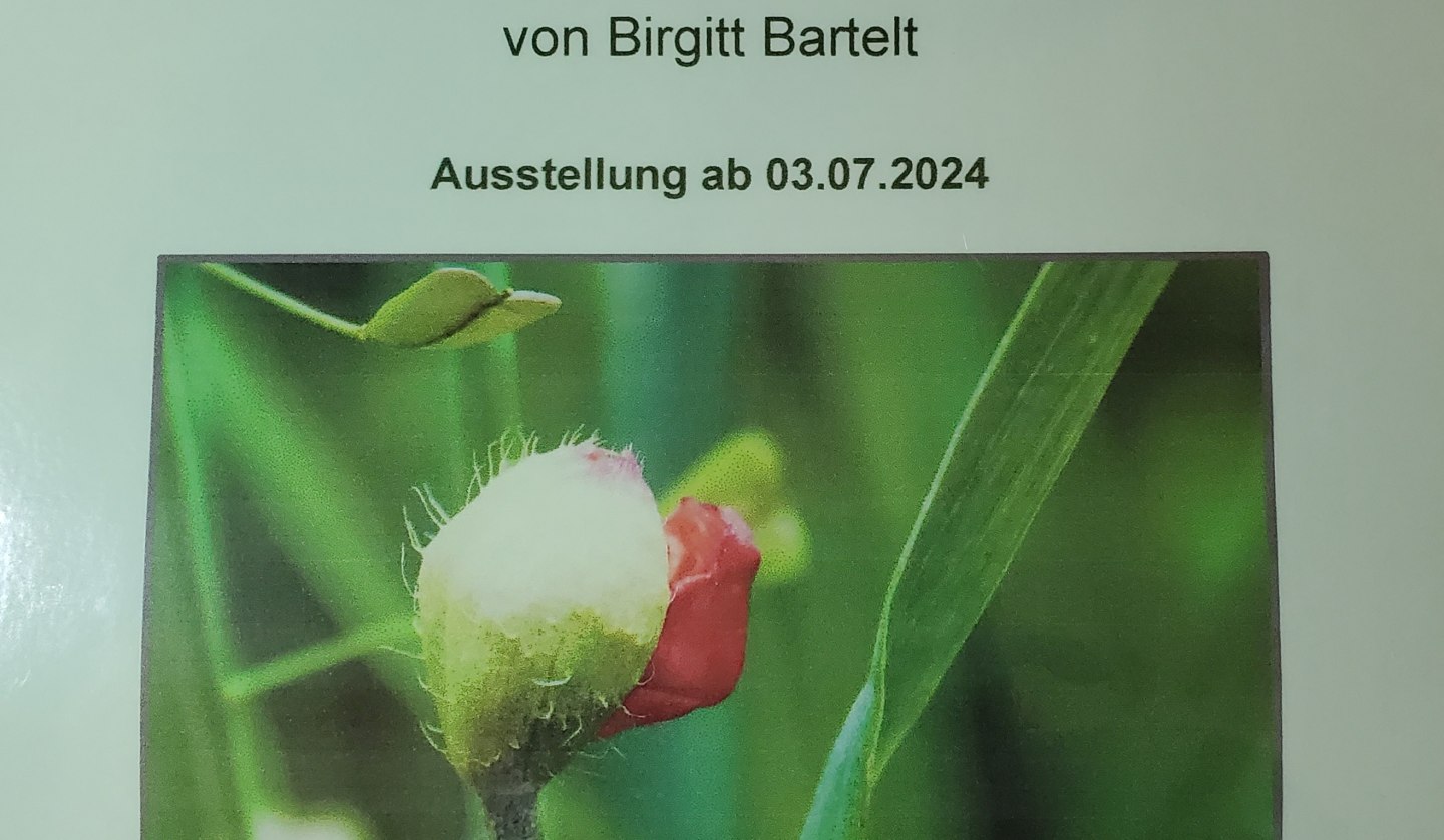 Plakat Ausstellung, © Birgitt Bartelt