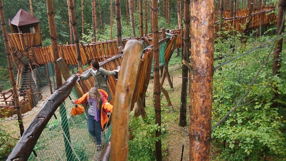 Auf abenteuerlichen Kletterpfaden geht es durch die Raubtier-WG, © Wildpark-MV