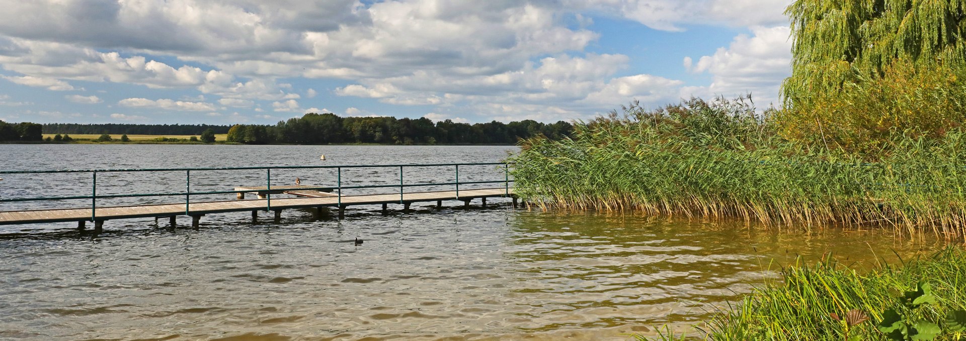 Badestelle am Badestrand "An der Freiheit" in Priepert_5, © TMV/Gohlke